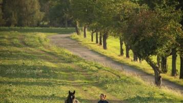 Apartemen | Pemandangan dari properti