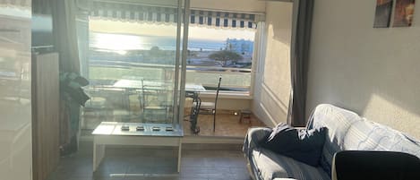 TV