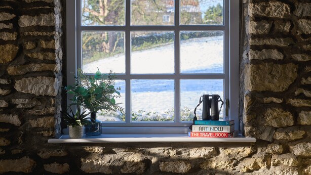 Una ventana con vistas a un paisaje nevado, una estantería con libros y una planta en maceta.