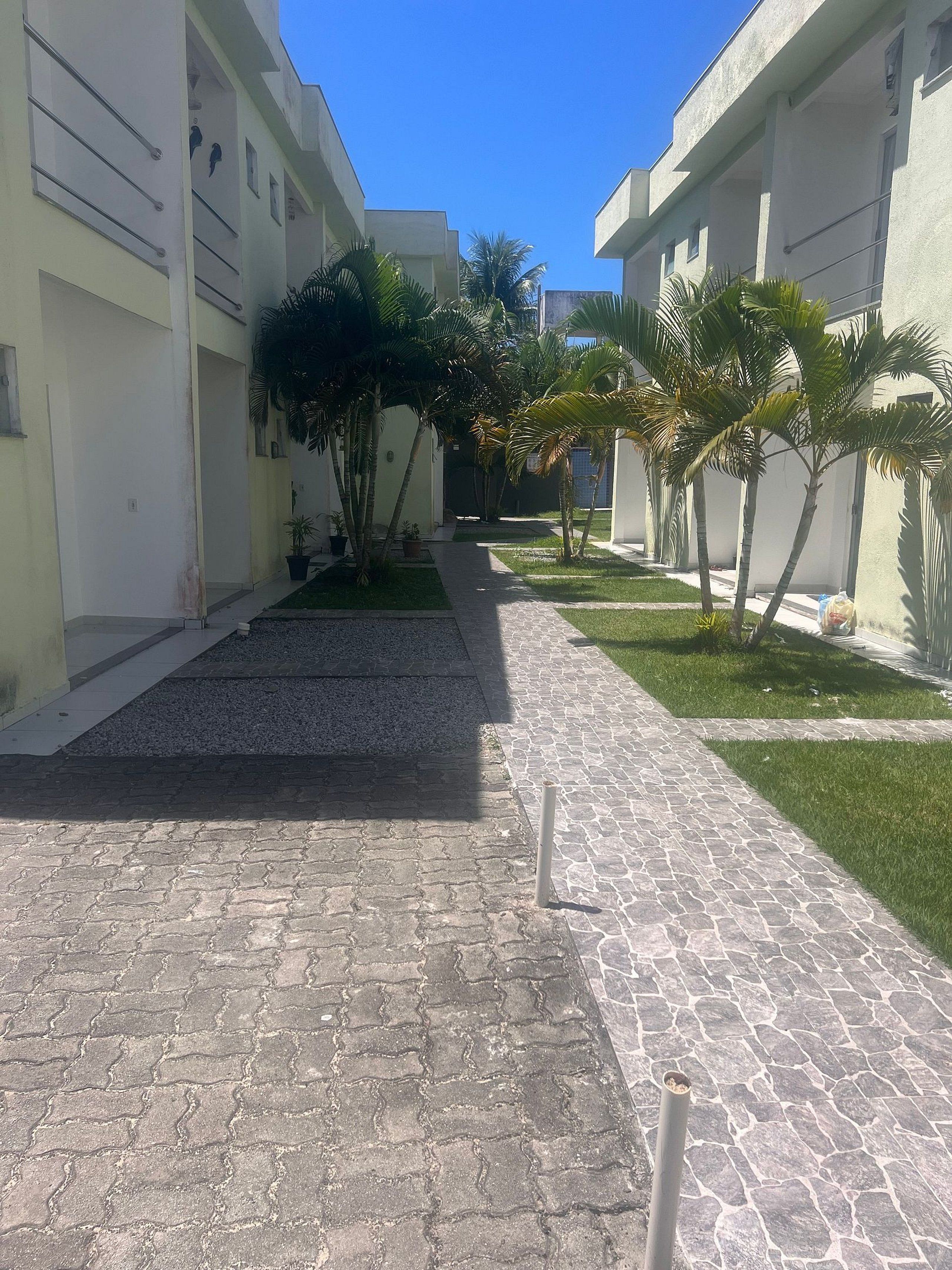 Pátio com calçada, plantas em vasos e edifícios com varandas.