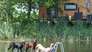 A wooden cabin with a dock extending into a body of water, a person reclining on the dock, and two dogs nearby. - Tiny House mit Terrasse, Grill & Kamin Direkt am Naturteich - Best Price! (Grossharthau)