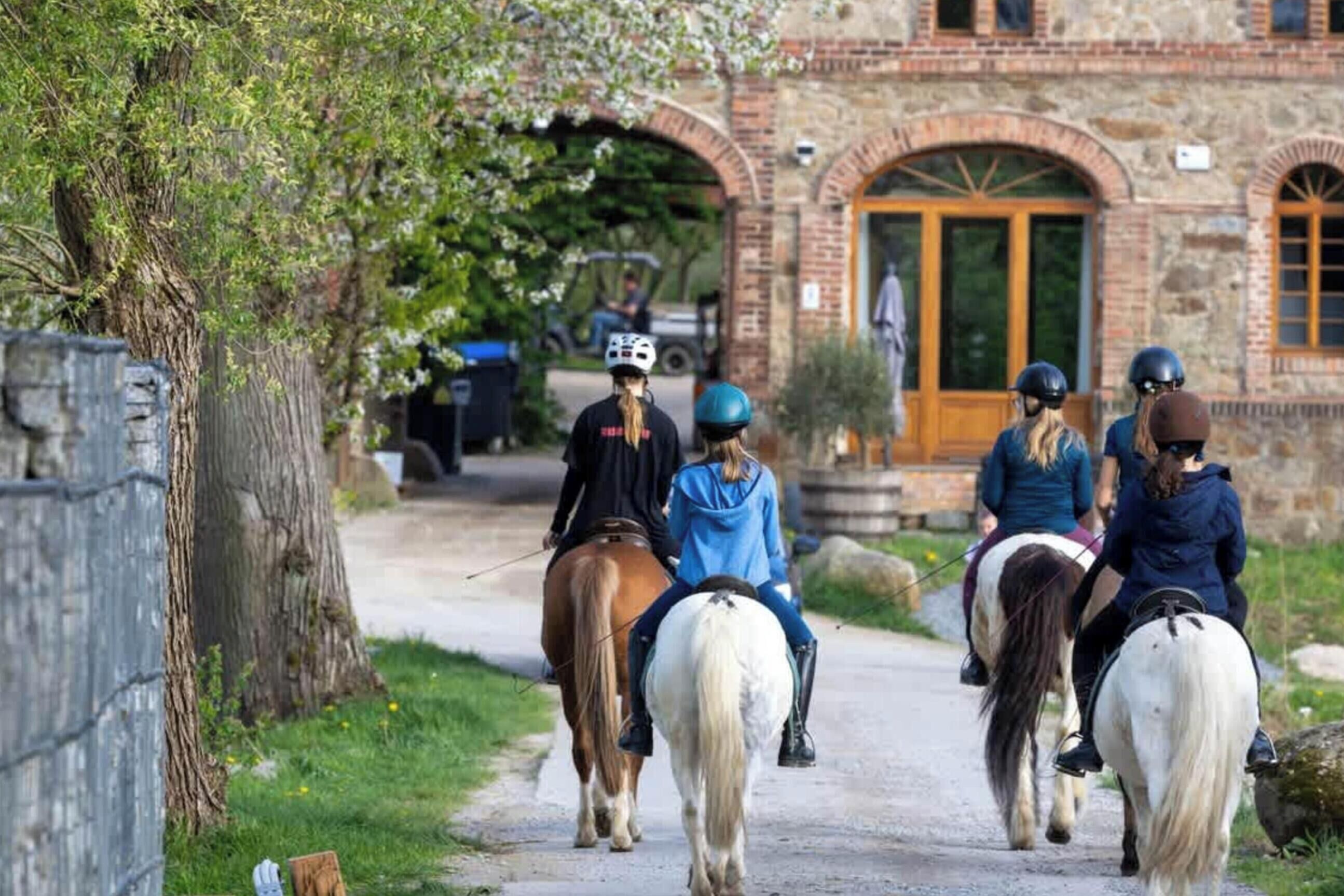 الإطلالة من المنشأة