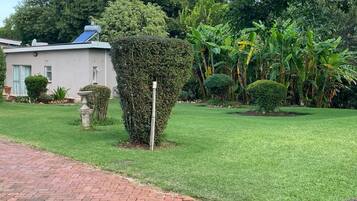 Suite Confort, vista al jardín | Vista al jardín