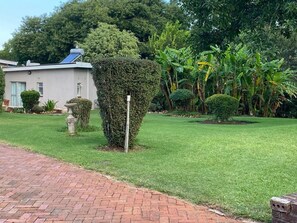 Comfort Suite, Garden View | Pemandangan taman