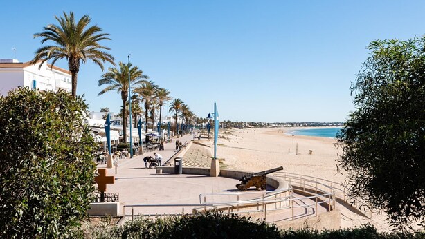 Een kustpromenade met palmbomen, een kanon en een strand op de achtergrond.