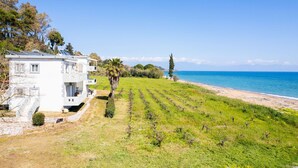 A coastal property with a white building, vineyard rows, and a beach view. - Beachfront Nest Memi Koroni-seaheaven House A3 (Pylos-Nestoras)