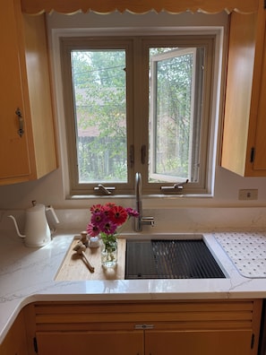 Eine Küche mit Fenster, Spüle, Wasserkocher, Bürste und einer Vase mit Blumen.