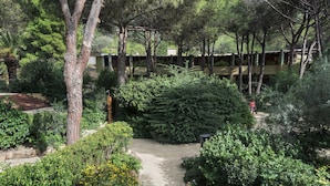 Un sendero en un jardín rodeado de abundante follaje y árboles, que conduce a un edificio con valla de madera.