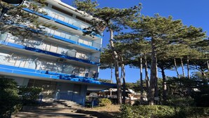 A multi-story building with balconies, a staircase leading to the entrance, and surrounding trees. - Cozy Accommodation Just 250mt From the Beach (Lignano Sabbiadoro)