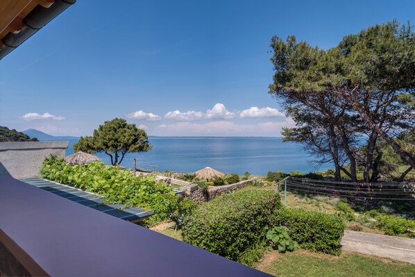 Terrain de l’hébergement 