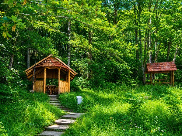 A wooden cabin with a porch and a staircase leading up to it, surrounded by lush greenery.