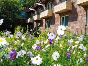 A building with multiple balconies and a garden with various flowers.