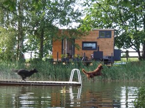 Apartment | Exterior - Tiny House in Ruhiger Alleinlage am Naturteich (Grossharthau)