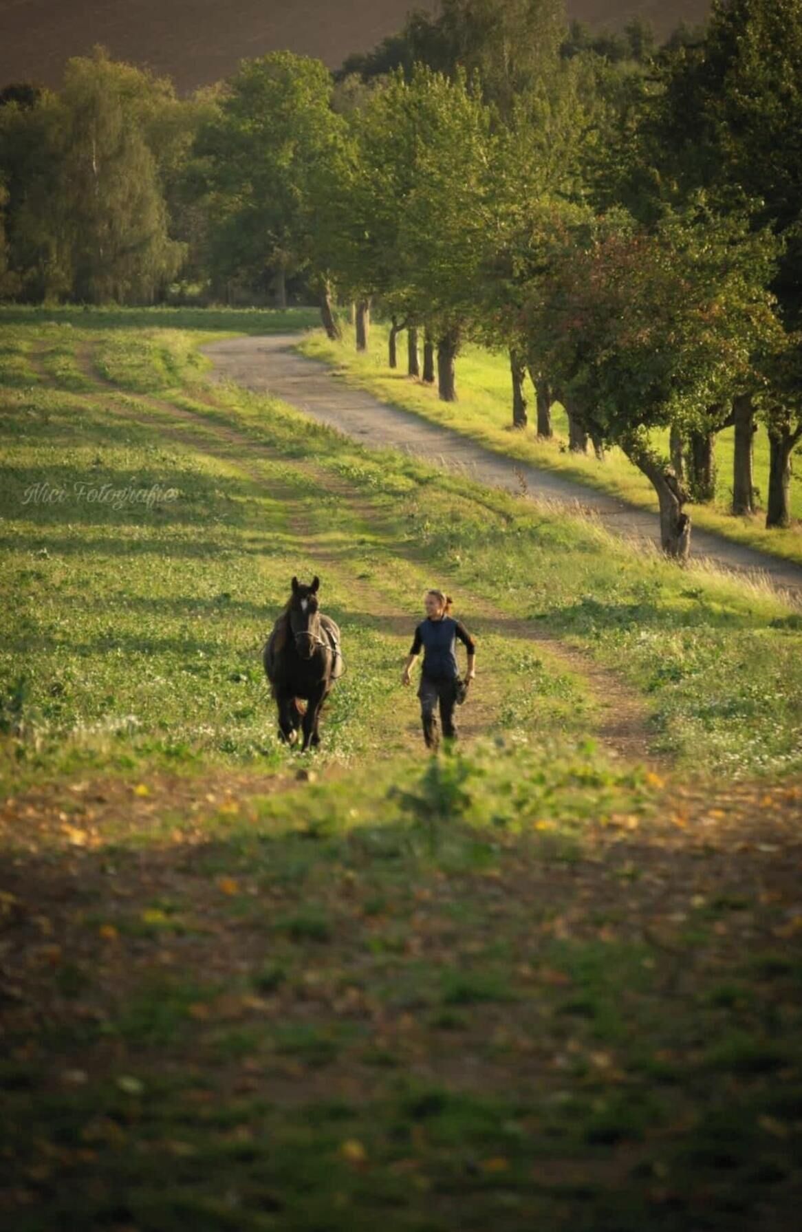 Apartment | View from property