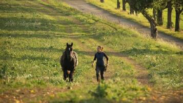Apartment | View from property