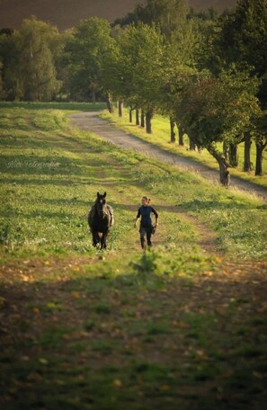 Apartamento | Vistas desde el alojamiento