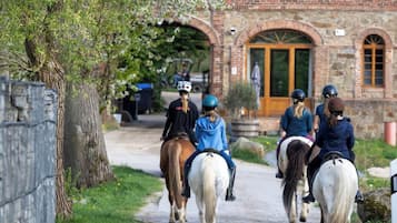 Apartment | View from property