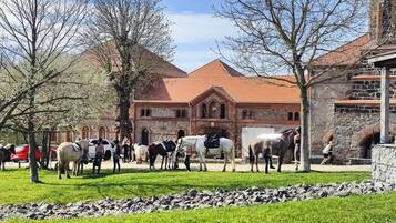 Appartement | Vue depuis l’hébergement