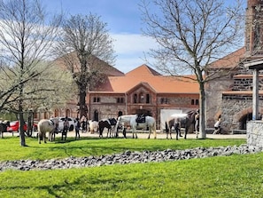 Apartment | Pemandangan dari hartanah