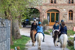 Apartamento | Vistas desde el alojamiento