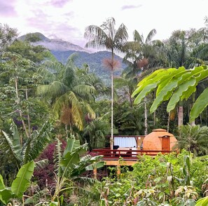 Property grounds - Domo Paramita (Paraty)