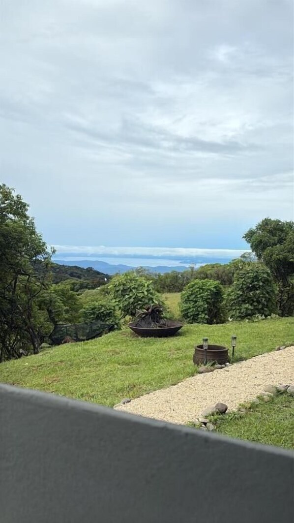 Property grounds - sea sing cabins  (Monteverde)