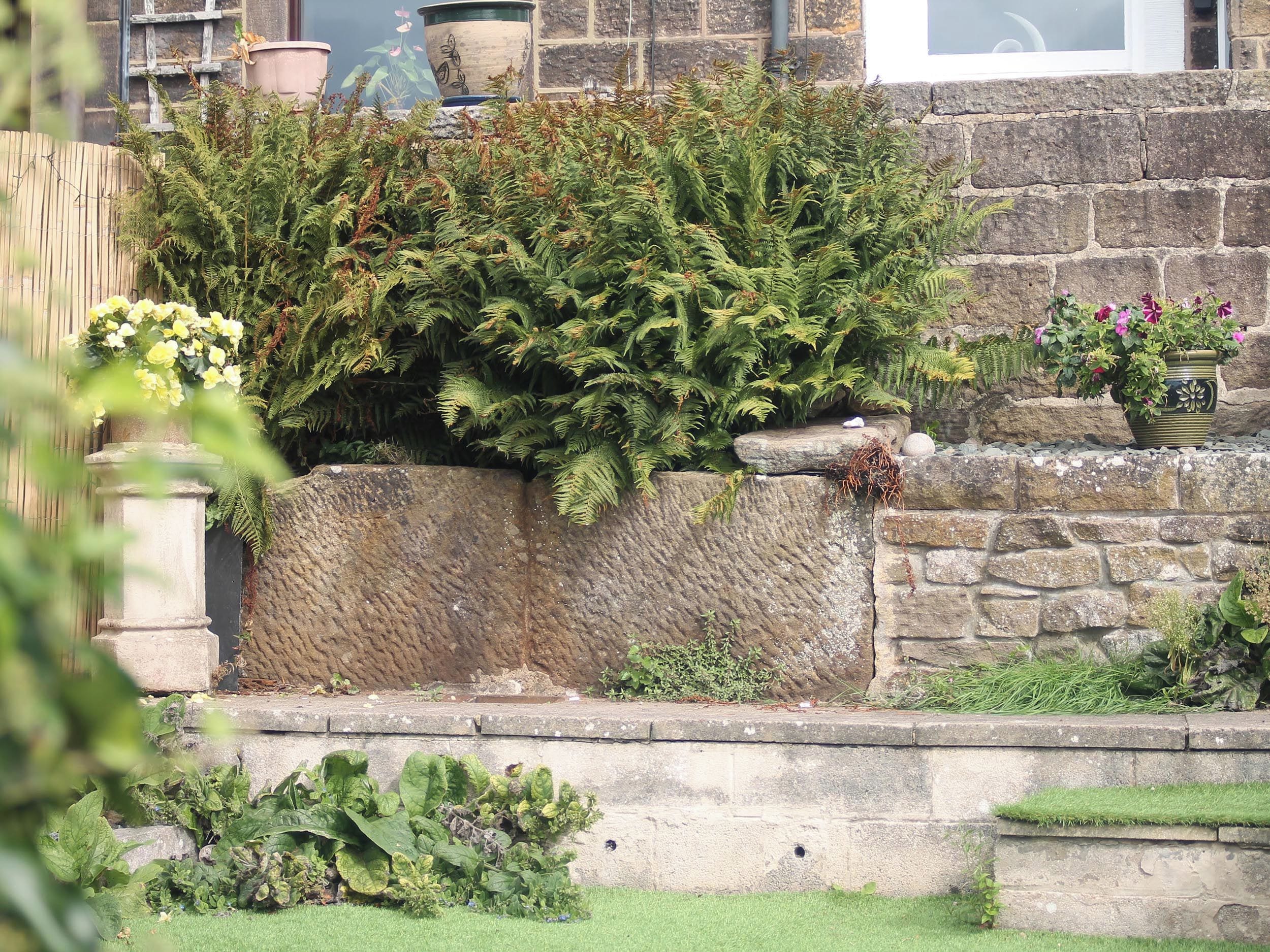 Un muro de piedra con diversas plantas, entre ellas helechos y plantas florecientes, y un pequeño jardín con césped.