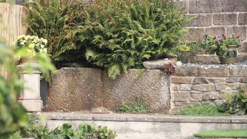 Un muro de piedra con diversas plantas, entre ellas helechos y plantas florecientes, y un pequeño jardín con césped.