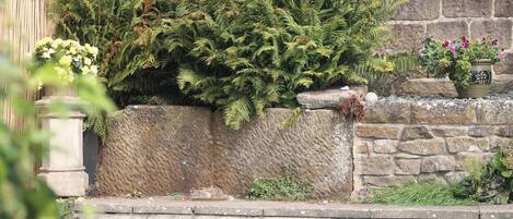 A stone wall with a variety of plants, including ferns and flowering plants, and a small garden area with grass.