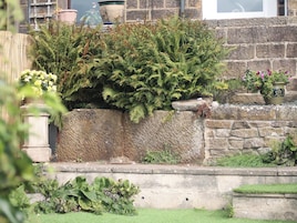 Un muro de piedra con diversas plantas, entre ellas helechos y plantas florecientes, y un pequeño jardín con césped.