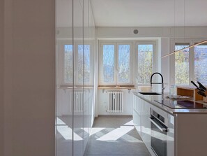 Fridge, oven, stovetop, dishwasher