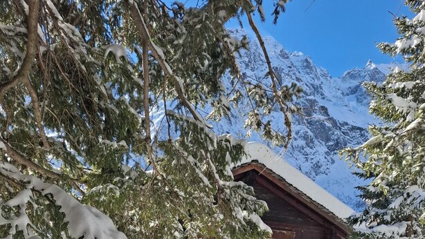 En stuga av trä med ett snötäckt tak, omgiven av snötyngda träd och berg i bakgrunden.