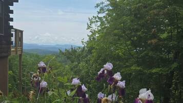 A garden with purple and white flowers, a building with a sloped roof, and a view of trees and hills in the background.