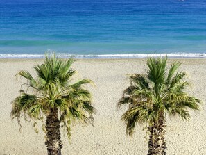 Ein Strand mit zwei Palmen und freiem Blick auf den Ozean.