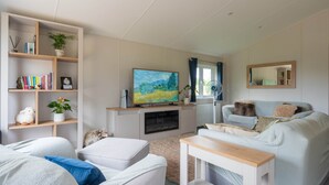 A modern living room with a flat-screen TV, a fireplace, a sofa, a coffee table, and a bookshelf.