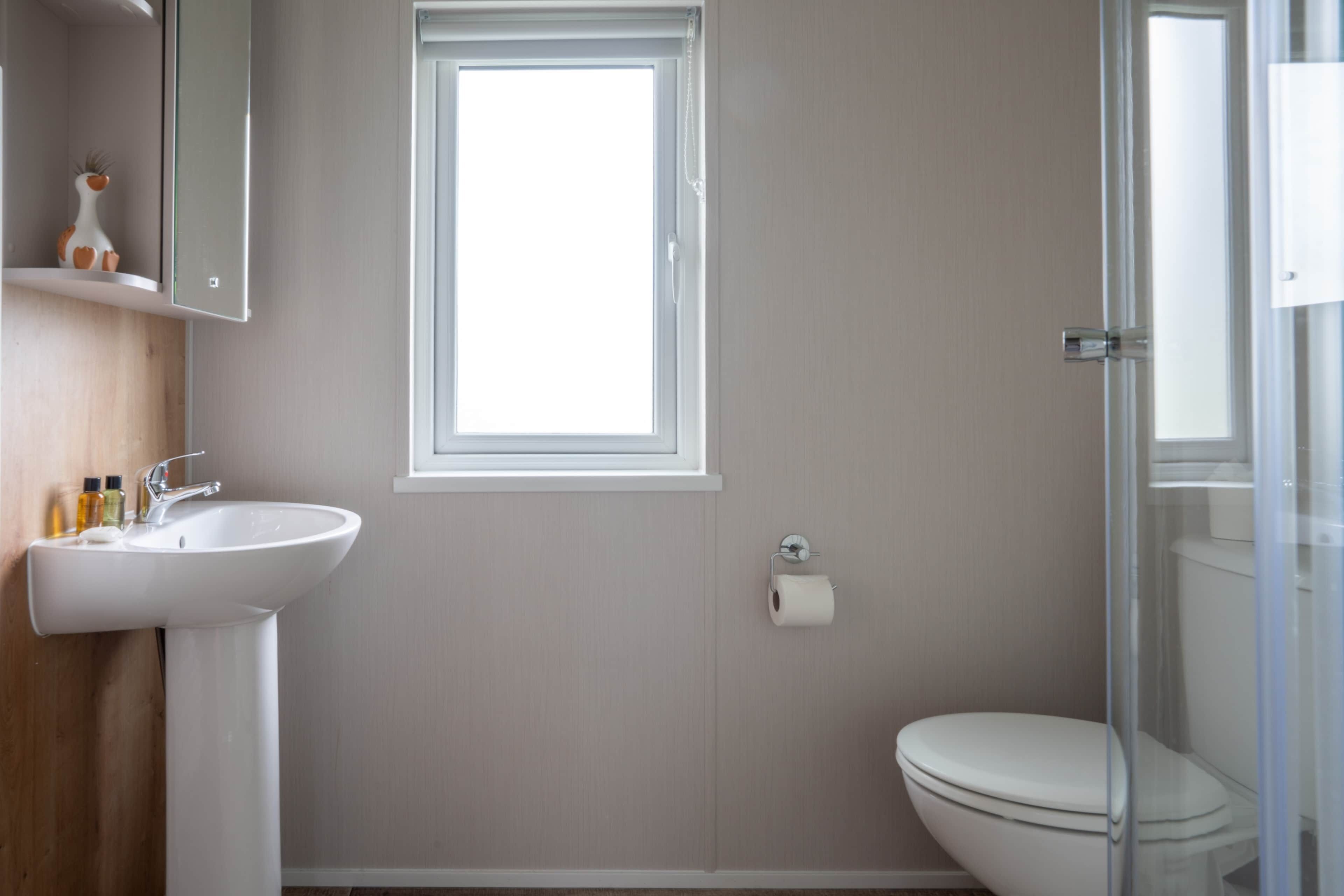 A bathroom with a white sink, a toilet, a window, and a shower enclosure.