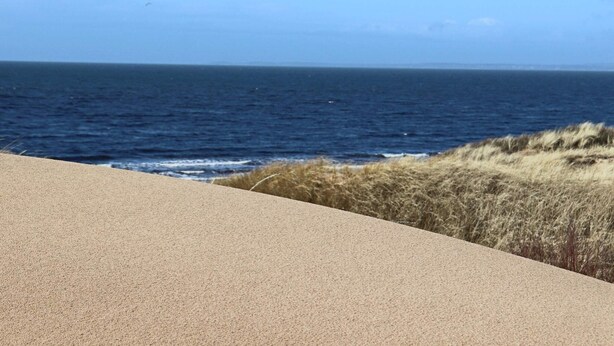A coastal road with a view of the ocean and grassy dunes. - 4 Star Holiday Home in Eldsberga (Eldsberga)