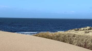 House | Beach