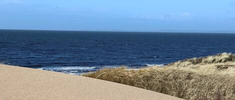 A coastal road with a view of the ocean and grassy dunes.