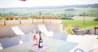 Gßte du vignoble, au coeur des vignes de la vallée de la Marne !
