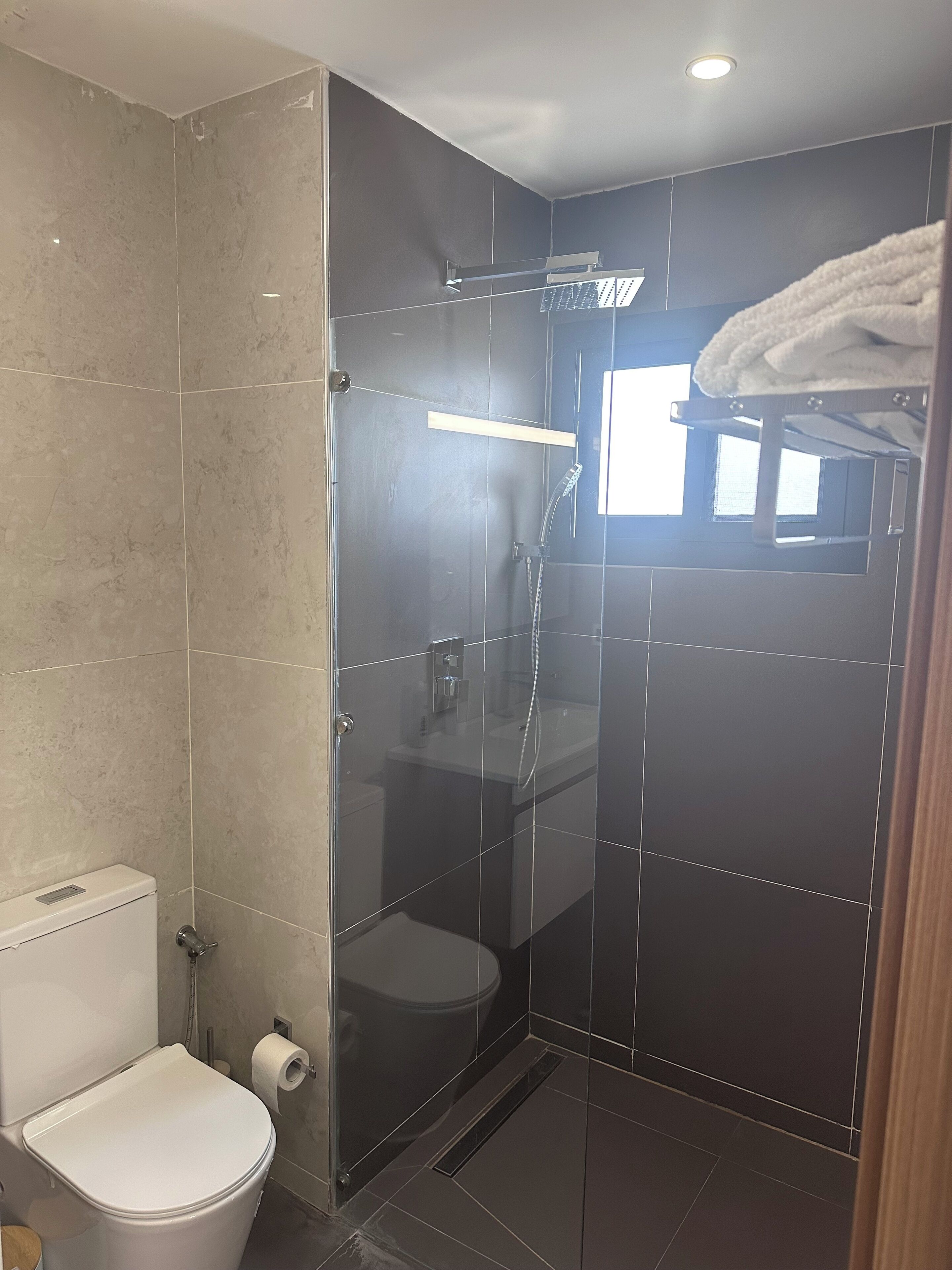Shower, hair dryer, bidet, towels