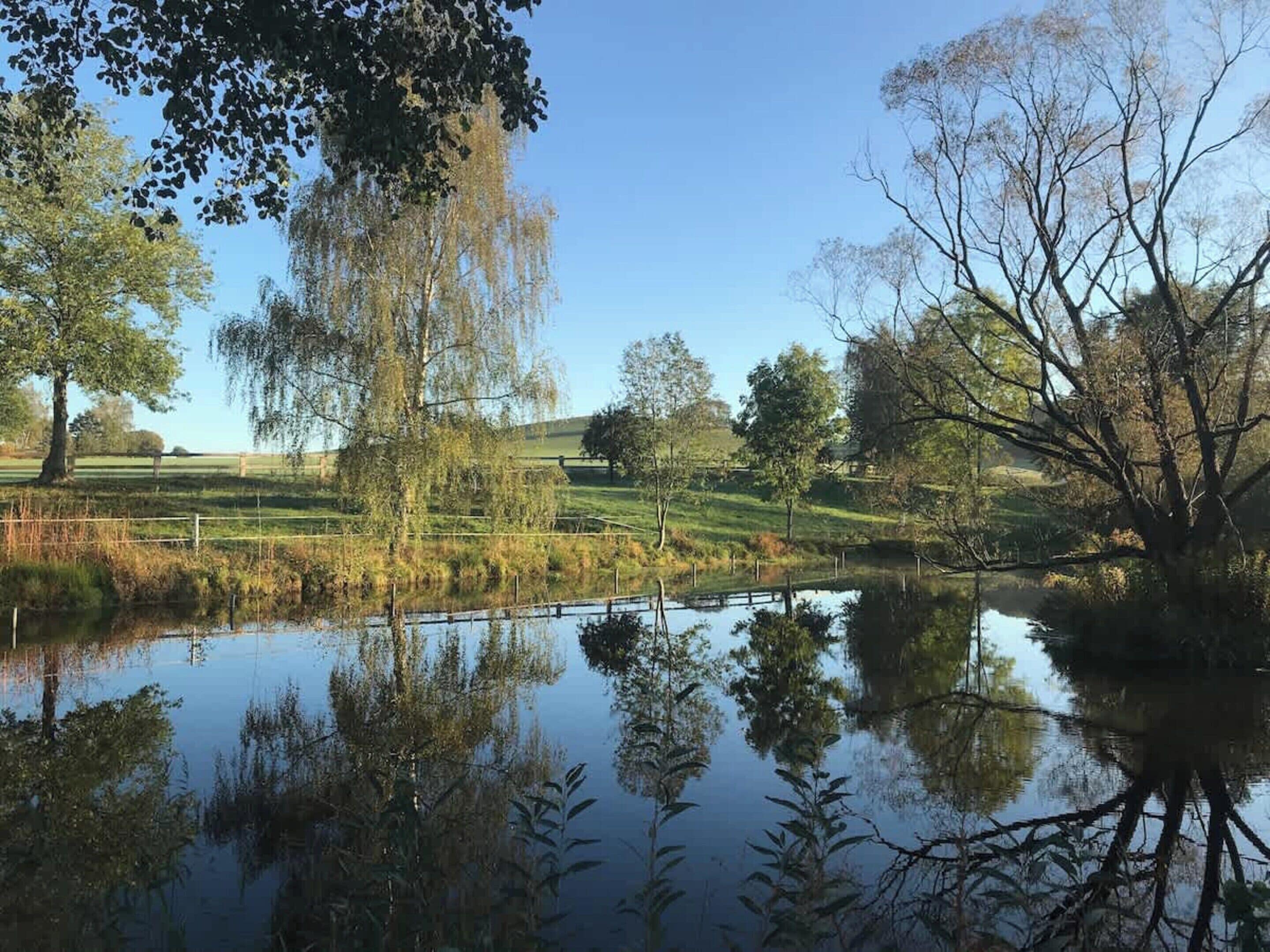 House | View from property