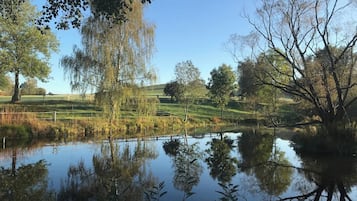 House | View from property