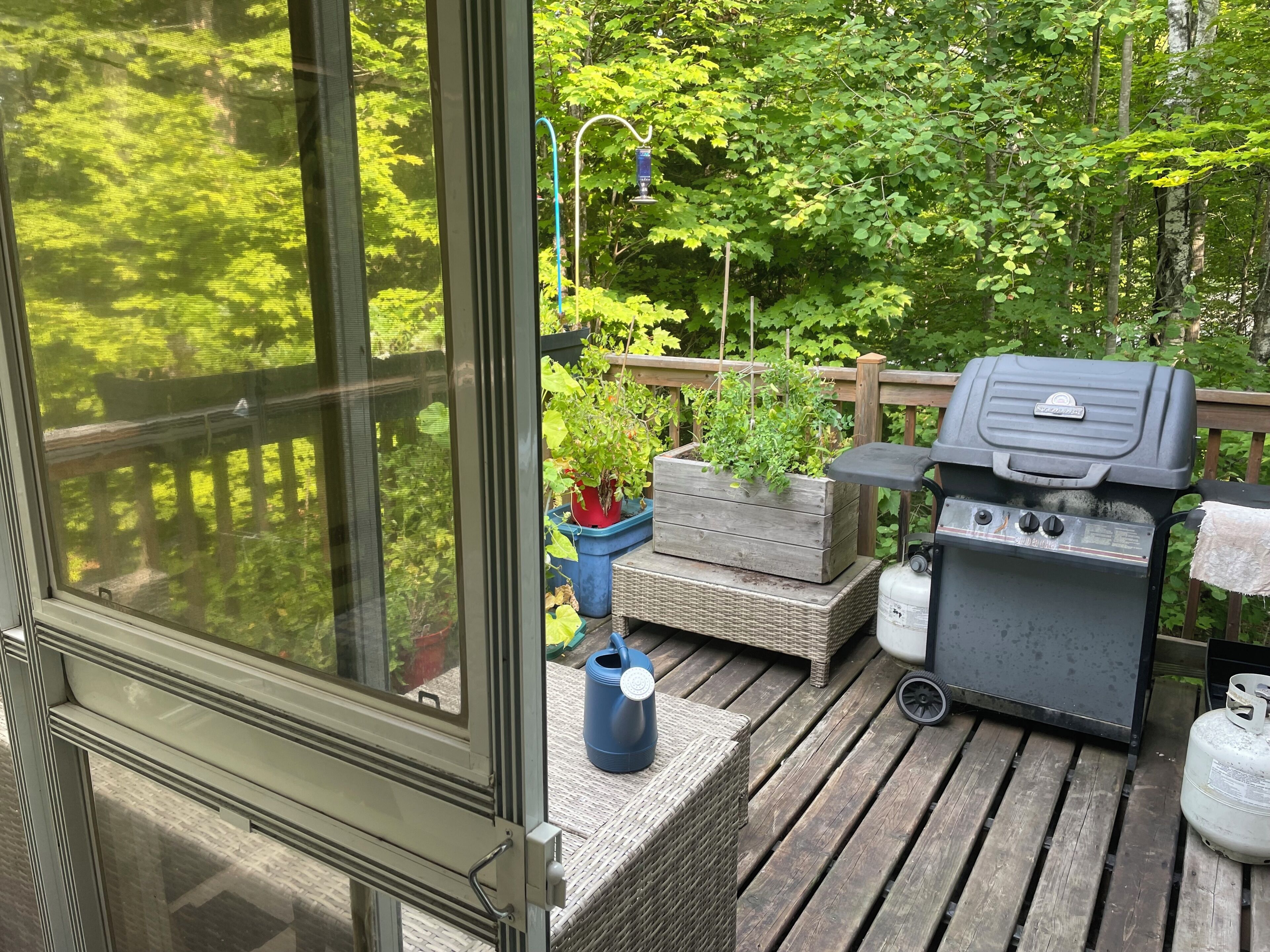 Terrain de l’hébergement 