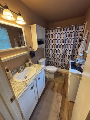 Bathroom - Log Cabin with a waterfront view. Access to boat ramp and swimming dock! (Afton)