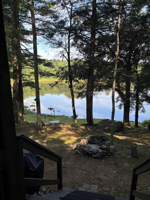 Property grounds - Tranquil 2-bedroom cabin in On Pond In Hawley perfect for getaway (Hawley)