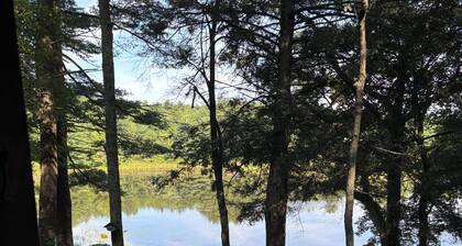 Tranquil 2-bedroom cabin in On Pond In Hawley perfect for getaway