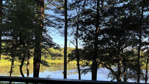 A wooden deck overlooking a lake with trees and a picnic table.