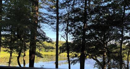 Tranquil 2-bedroom cabin in On Pond In Hawley perfect for getaway