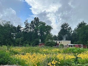 Terrein van de accommodatie